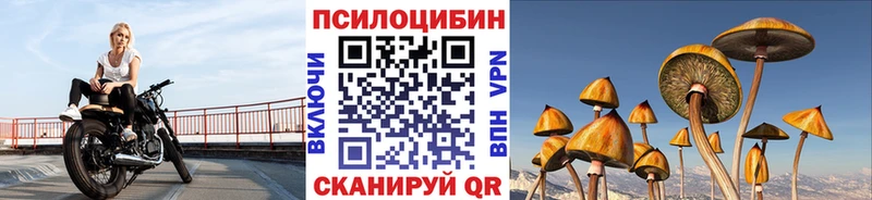 Галлюциногенные грибы Magic Shrooms  Циолковский 